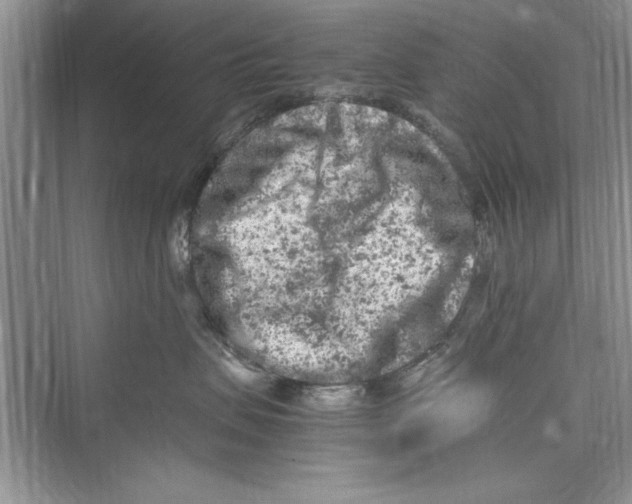 X0000072550479200608111844