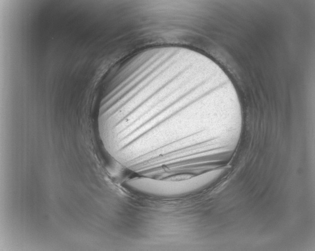 X0000072550481200608111843