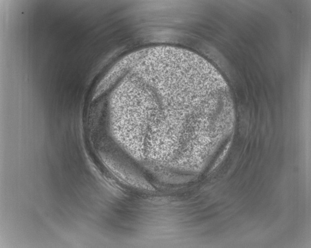 X0000072550482200608111843