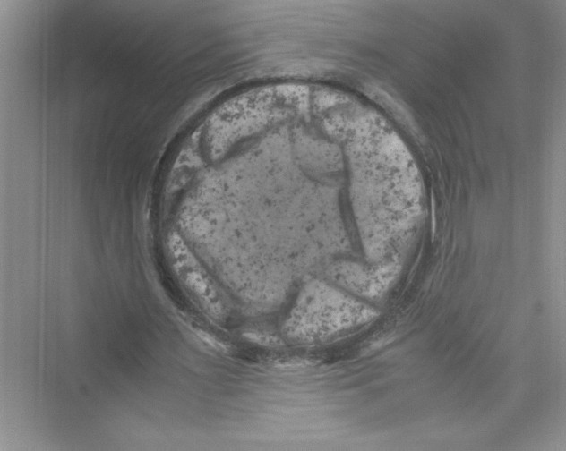 X0000072550483200608111843