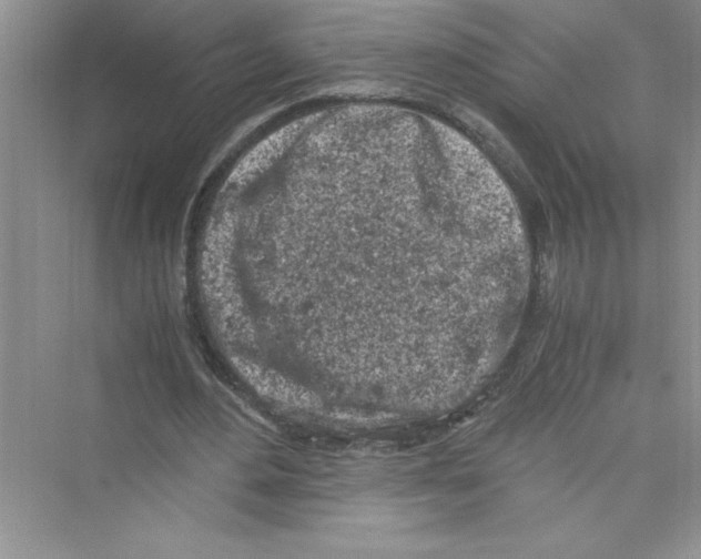 X0000072550484200608111843