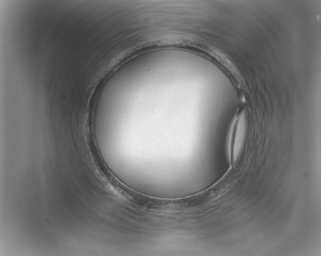 X0000072550485200608111843