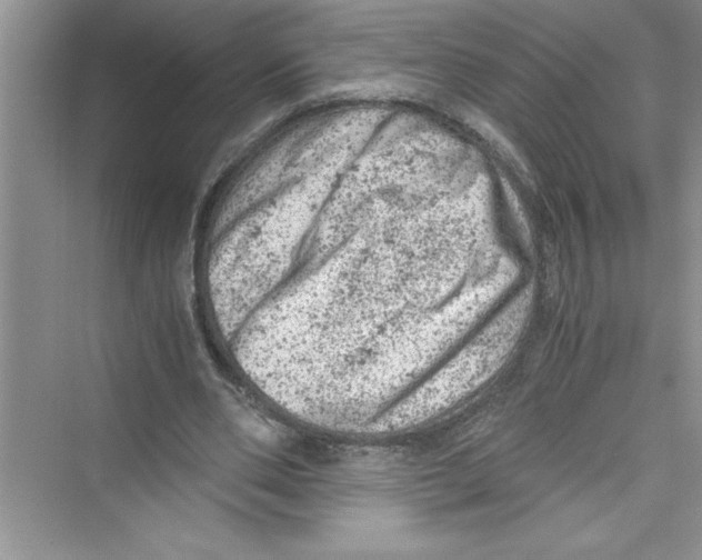 X0000072550486200608111843