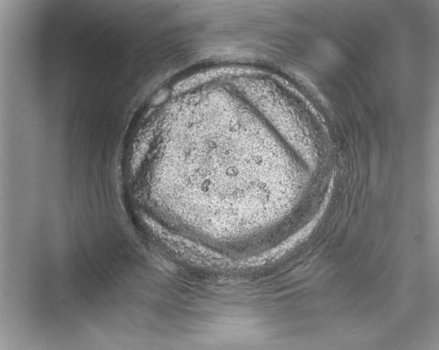 X0000072550487200608111843