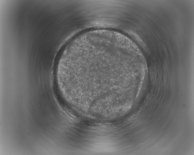 X0000072550488200608111843