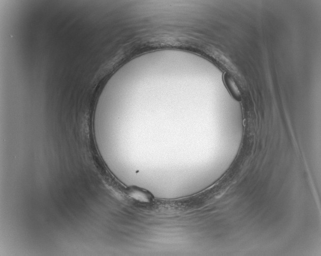 X0000072550489200608111843