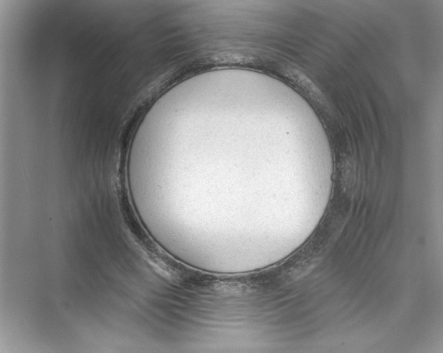 X0000072550490200608111843