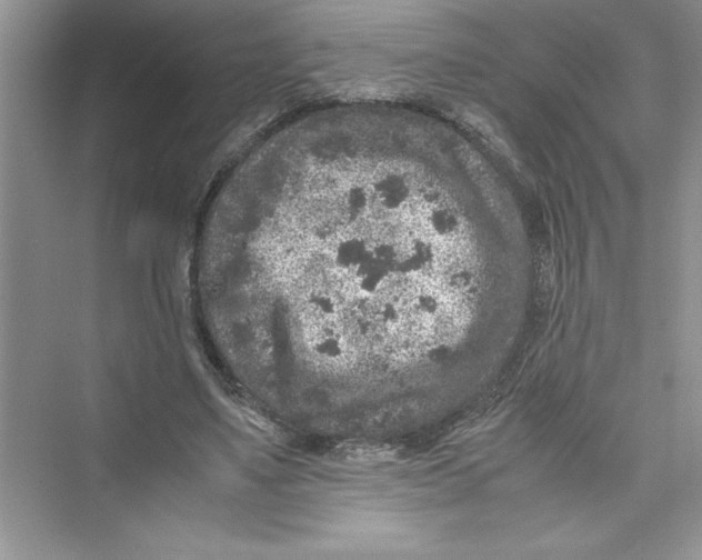 X0000072550491200608111843