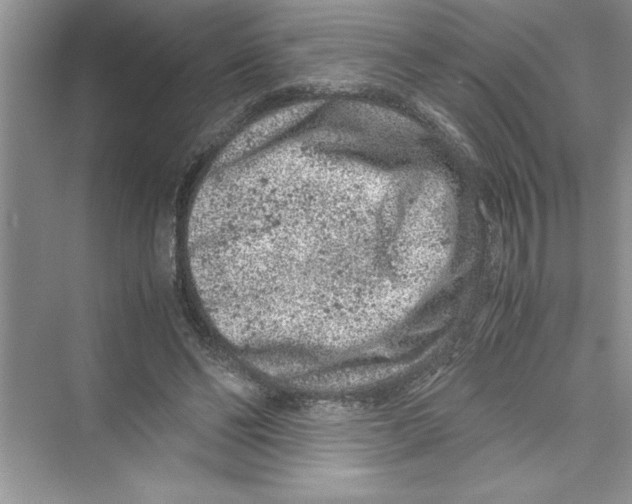 X0000072550494200608111843