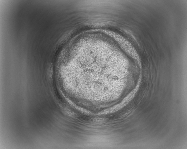 X0000072550495200608111842