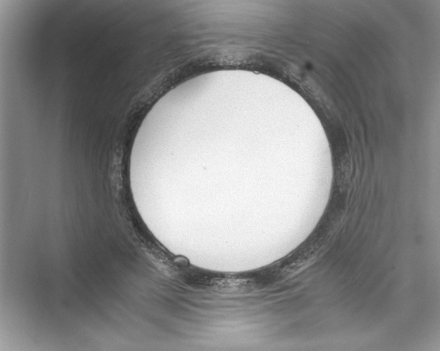 X0000072550497200608111842