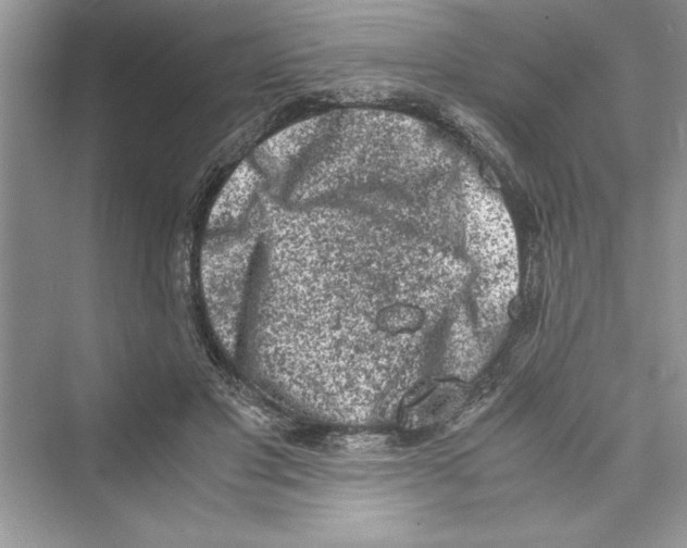 X0000072550501200608111842