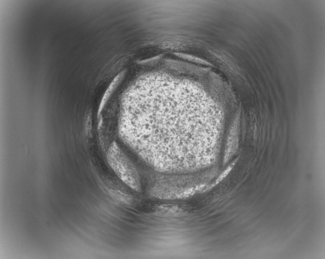 X0000072550502200608111842