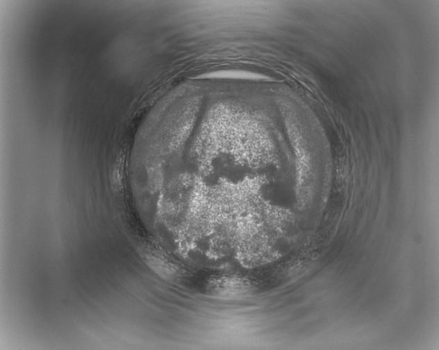 X0000072550503200608111842