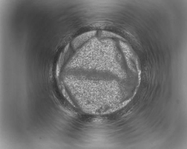 X0000072550504200608111842