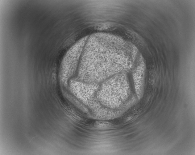 X0000072550510200608111842