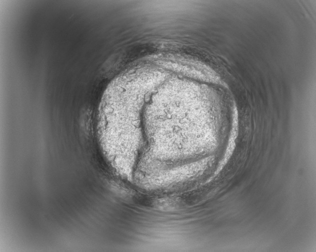 X0000072550511200608111842