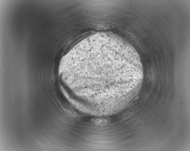 X0000072550512200608111842