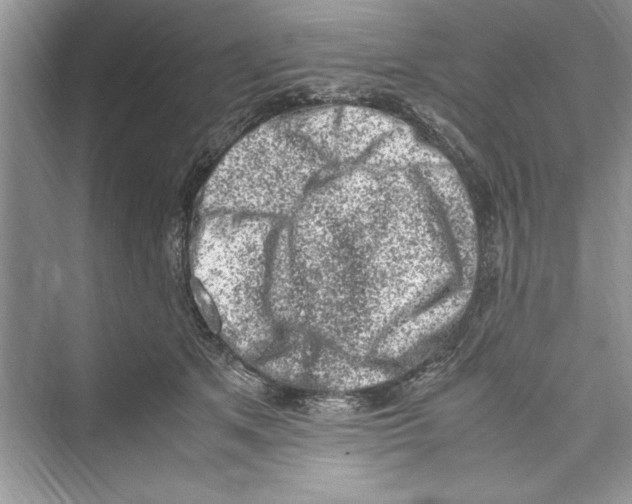 X0000072550513200608111842