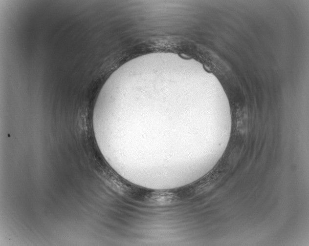 X0000072550514200608111842