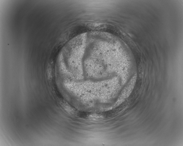 X0000072550515200608111842