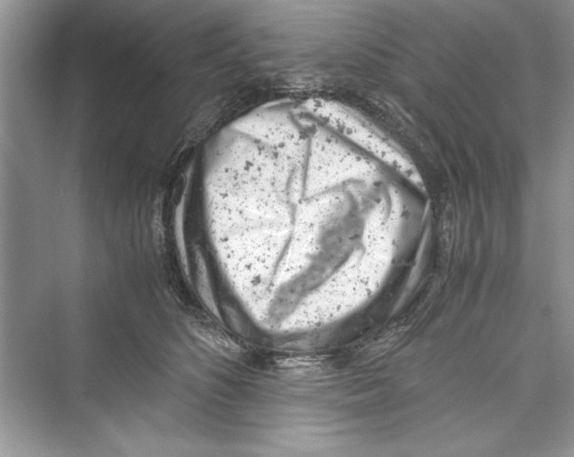 X0000072550516200608111842