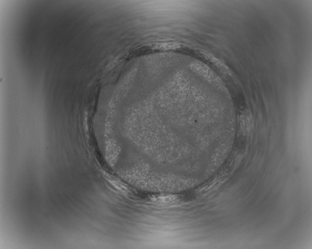 X0000072550517200608111842