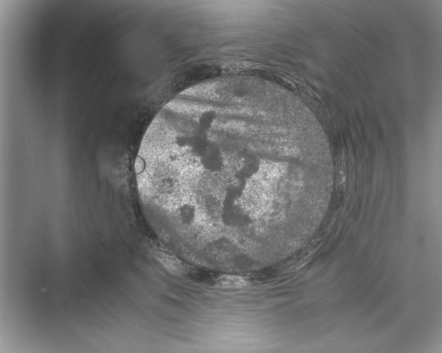 X0000072550519200608111842