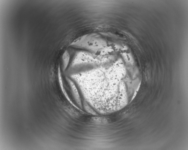 X0000072550520200608111842