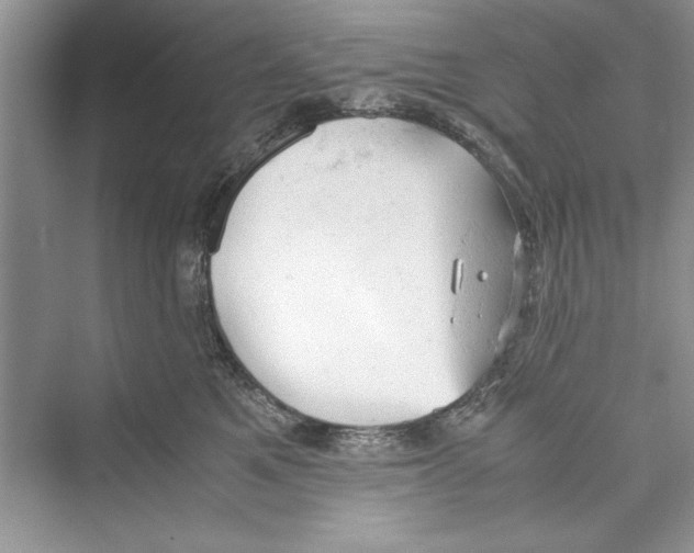 X0000072550521200608111842