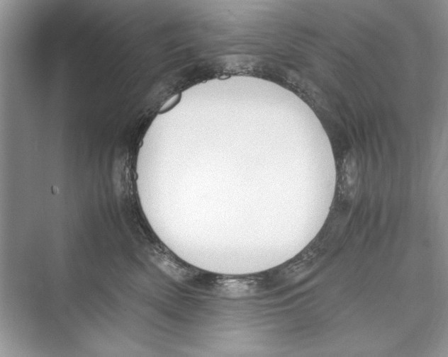 X0000072550522200608111842