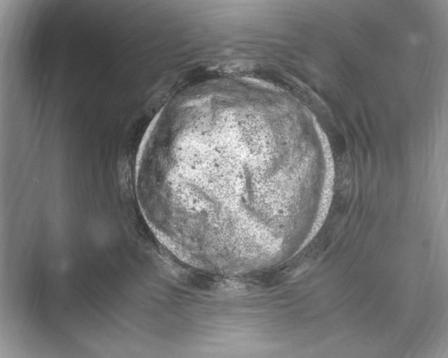 X0000072550523200608111842