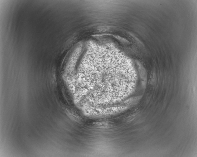 X0000072550524200608111842