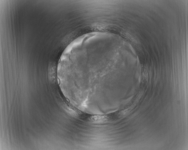 X0000072550526200608111842