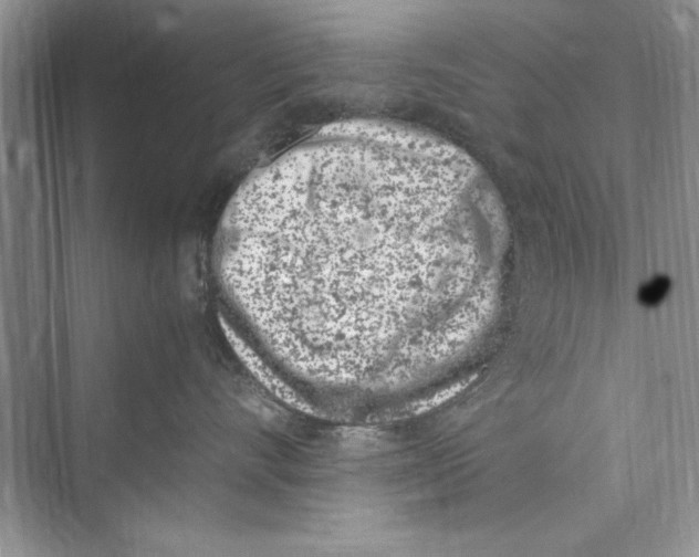 X0000072550528200608111842