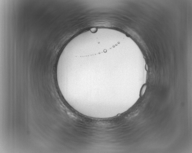 X0000072550529200608111841