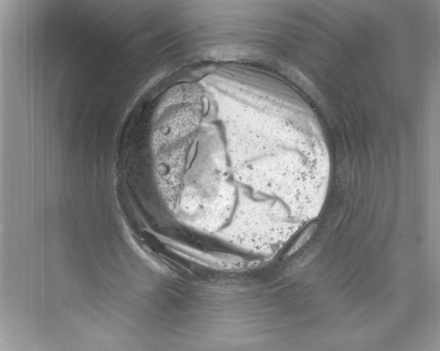 X0000072550530200608111841