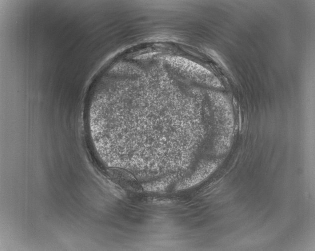 X0000072550531200608111841