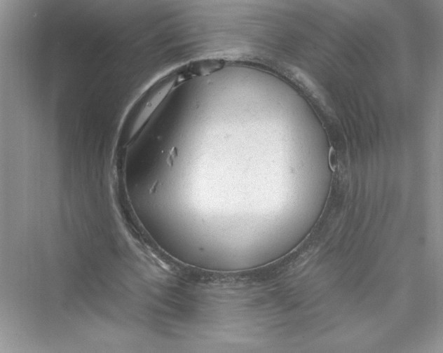 X0000072550532200608111841