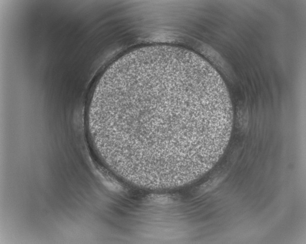 X0000072550534200608111841