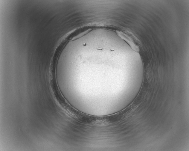 X0000072550536200608111841