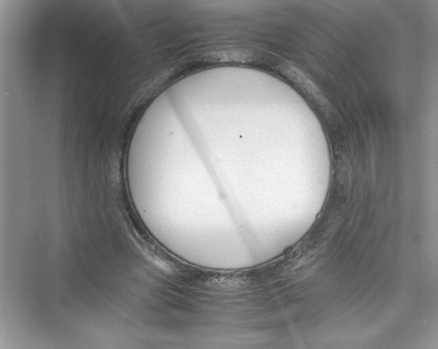 X0000072550537200608111841