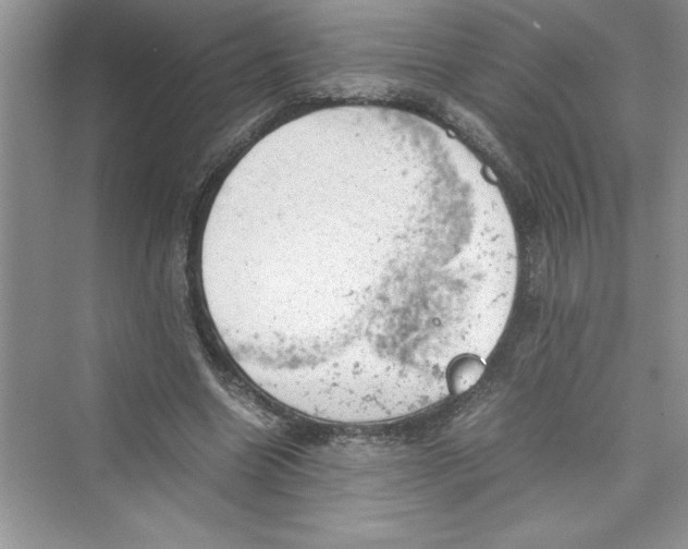 X0000072550538200608111841