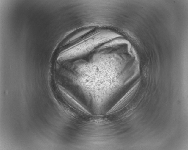 X0000072550540200608111841