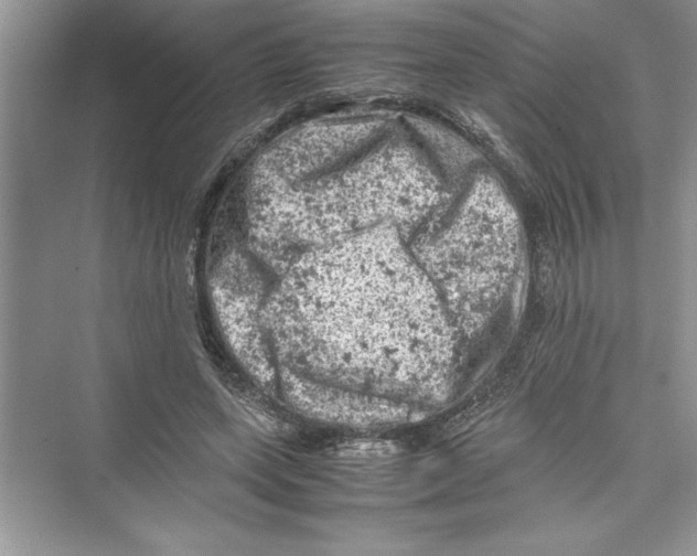 X0000072550543200608111841