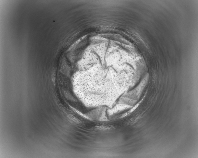 X0000072550545200608111841