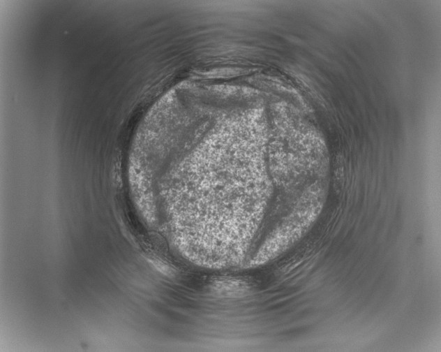 X0000072550547200608111841