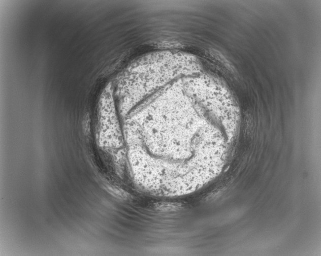 X0000072550549200608111841