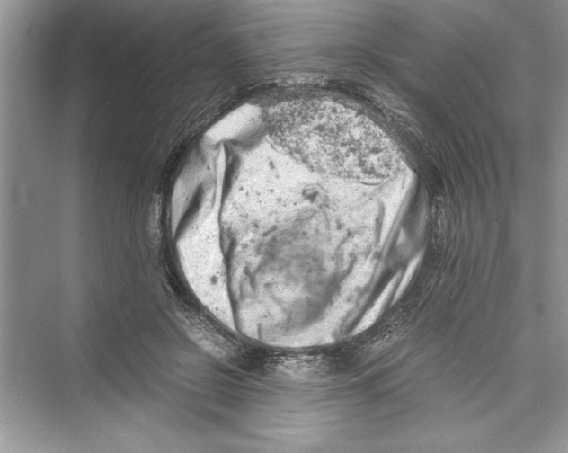 X0000072550550200608111841