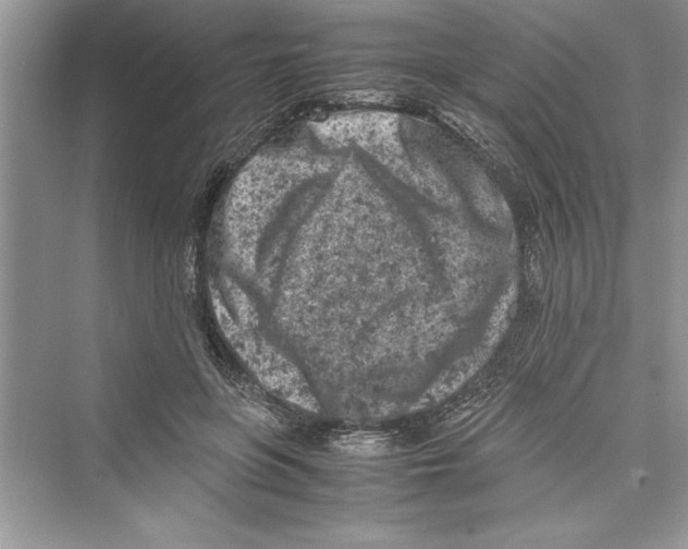 X0000072550551200608111841